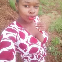 Phendukile